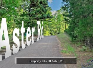 Aster Rd, Gilmer, TX 75644