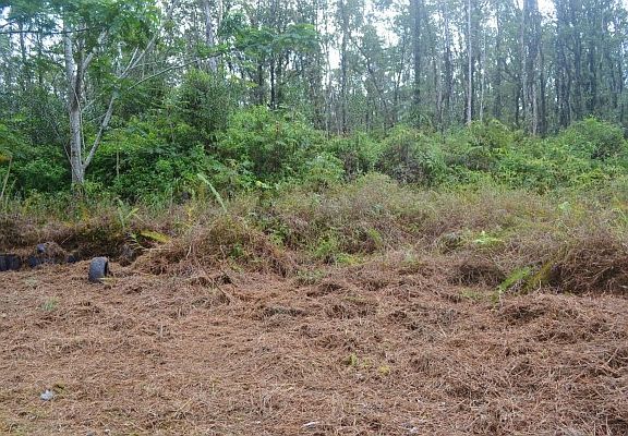 2nd image of Road 9 Koloa Maoli Lot 5486