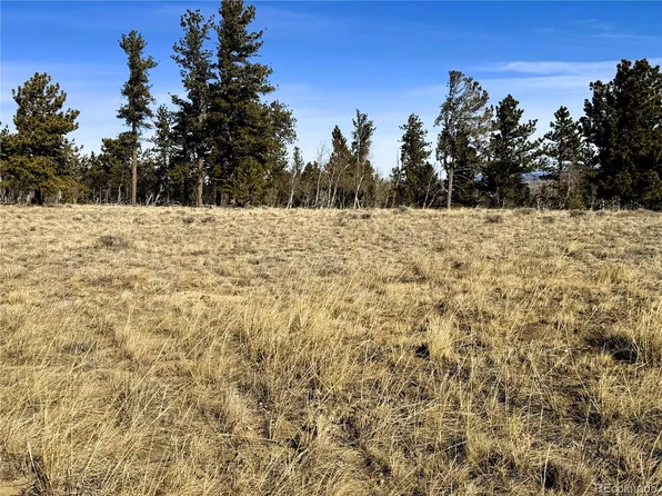 620 Wagon Wheel Road LOT 624, Hartsel, CO 80449