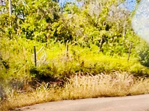 119 Carretera, San Sebastian, PR 00685