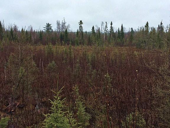 3rd image of 9XXX Gunflint Tr