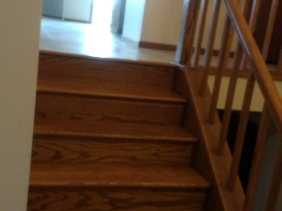 3rd image of 1025 Pine Cone Ln