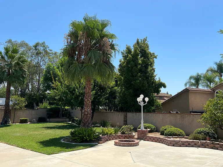 Beautifully Landscaped Back Yard