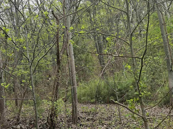 52179 Norman Dr, Attalla, AL 35954