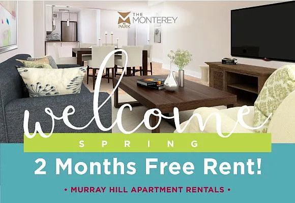 Rented by The Monterey | media 14