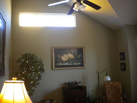 Living room Vaulted Ceiling