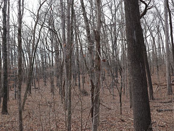 5th image of Great Woods Rd