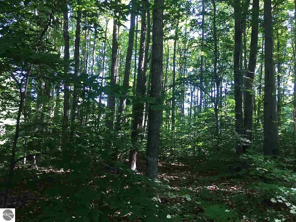 1st image of 0 E Shore Dr NE
