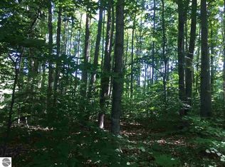 0 E Shore Dr NE, Kalkaska, MI 49646