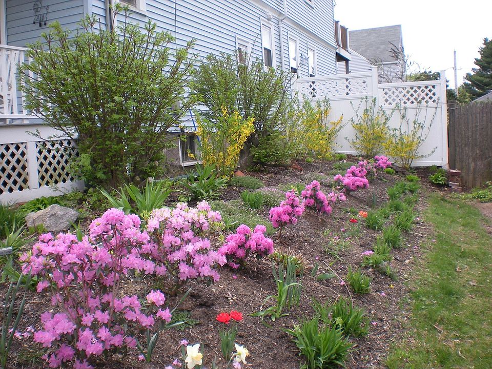 garden