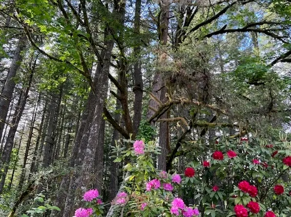 13368 117th Avenue NW, Gig Harbor, WA 98329