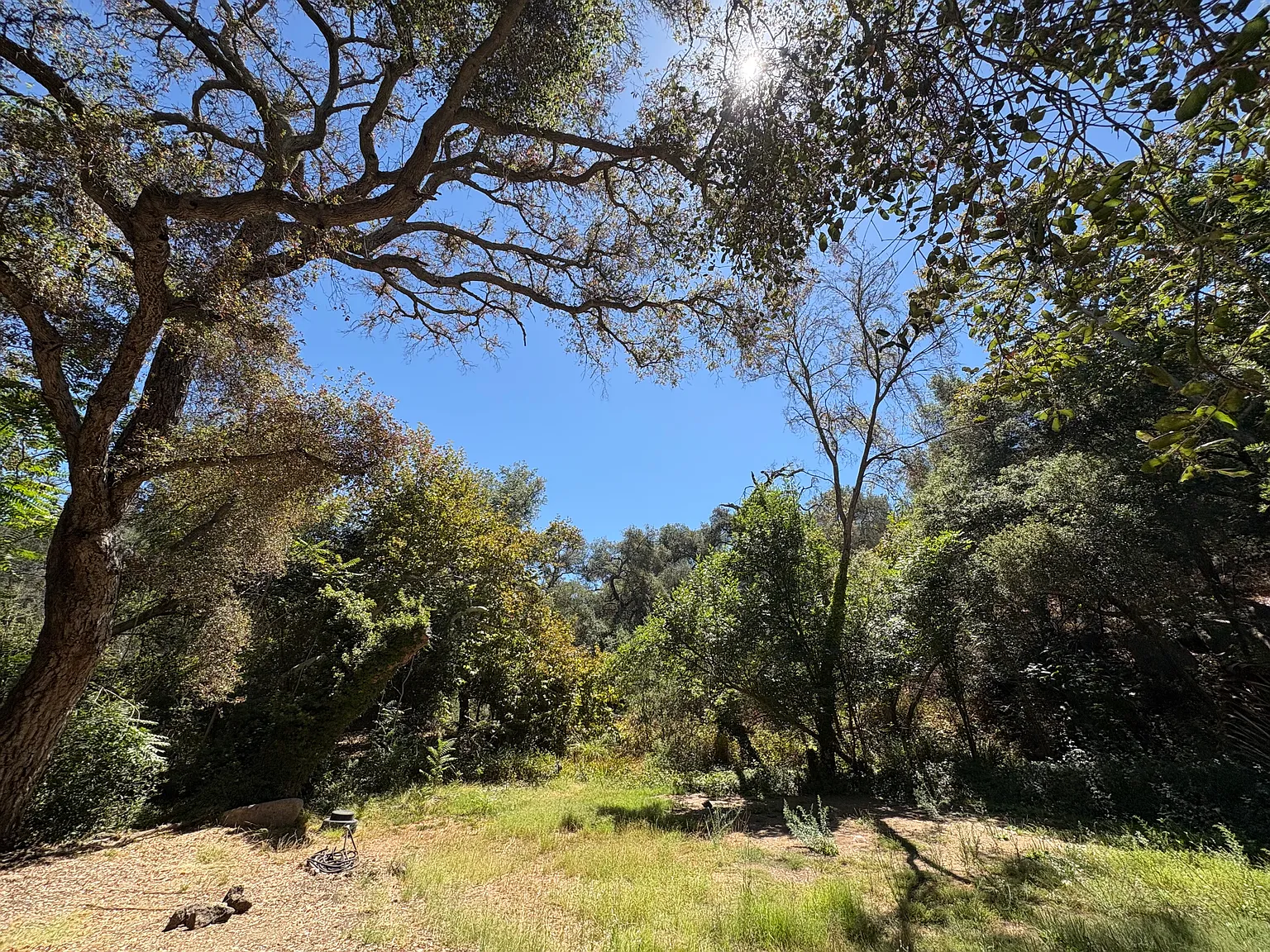 3 bed, 1300 sqft, $3,500 — Photo 3