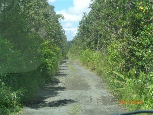 5th image of 16-544 Kea Rd Lot 5671