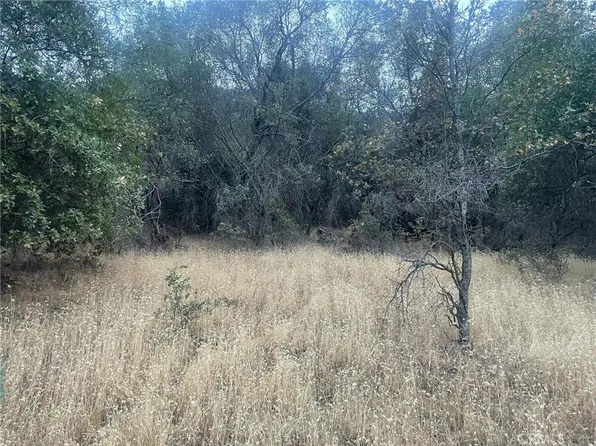 43020 Apache Ranch Rd, Ahwahnee, CA 93601