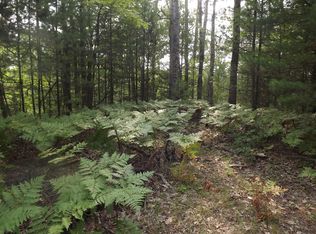 Bear Paw Rdg, Indian River, MI 49749