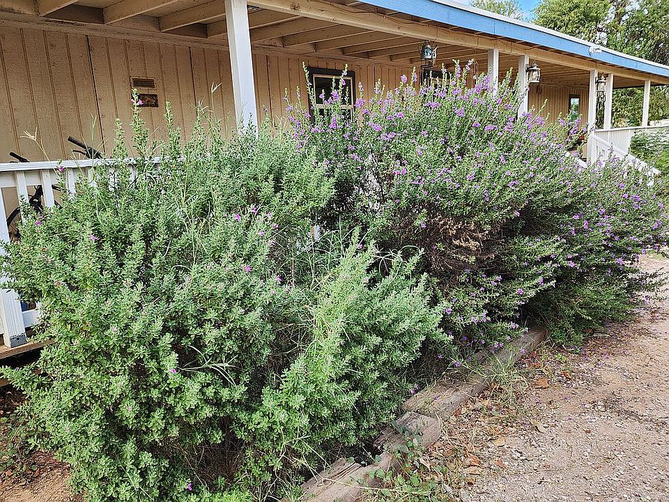 27239 W Hazen Rd, Buckeye, AZ 85326 | Zillow