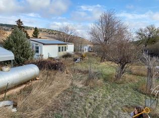 21390 State St, Piedmont, SD 57769