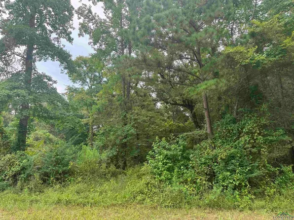 Blocker Rd, Elysian Fields, TX 75642