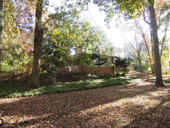 Lightly Wooded Back Yard