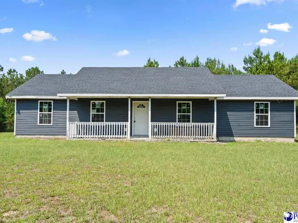 383 Red Rd, Olanta, SC 29114