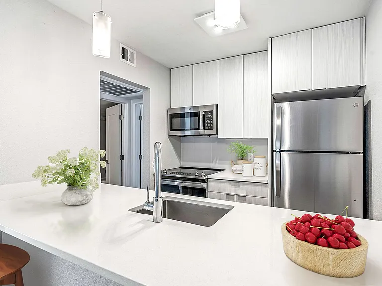 Echo Luxury Apartments — Photo 168