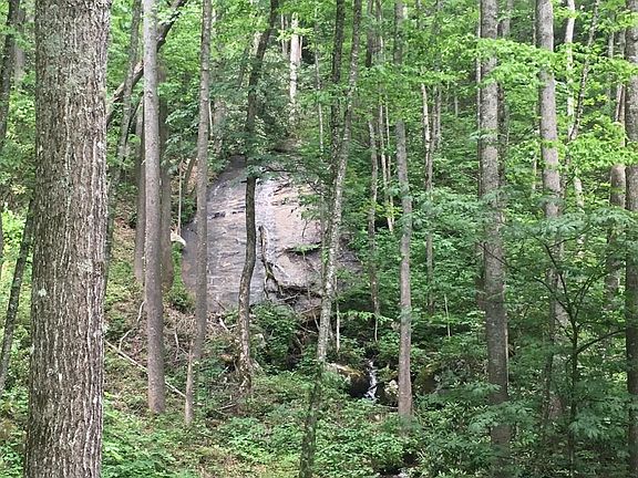 3rd image of TBD Hwy 107 N