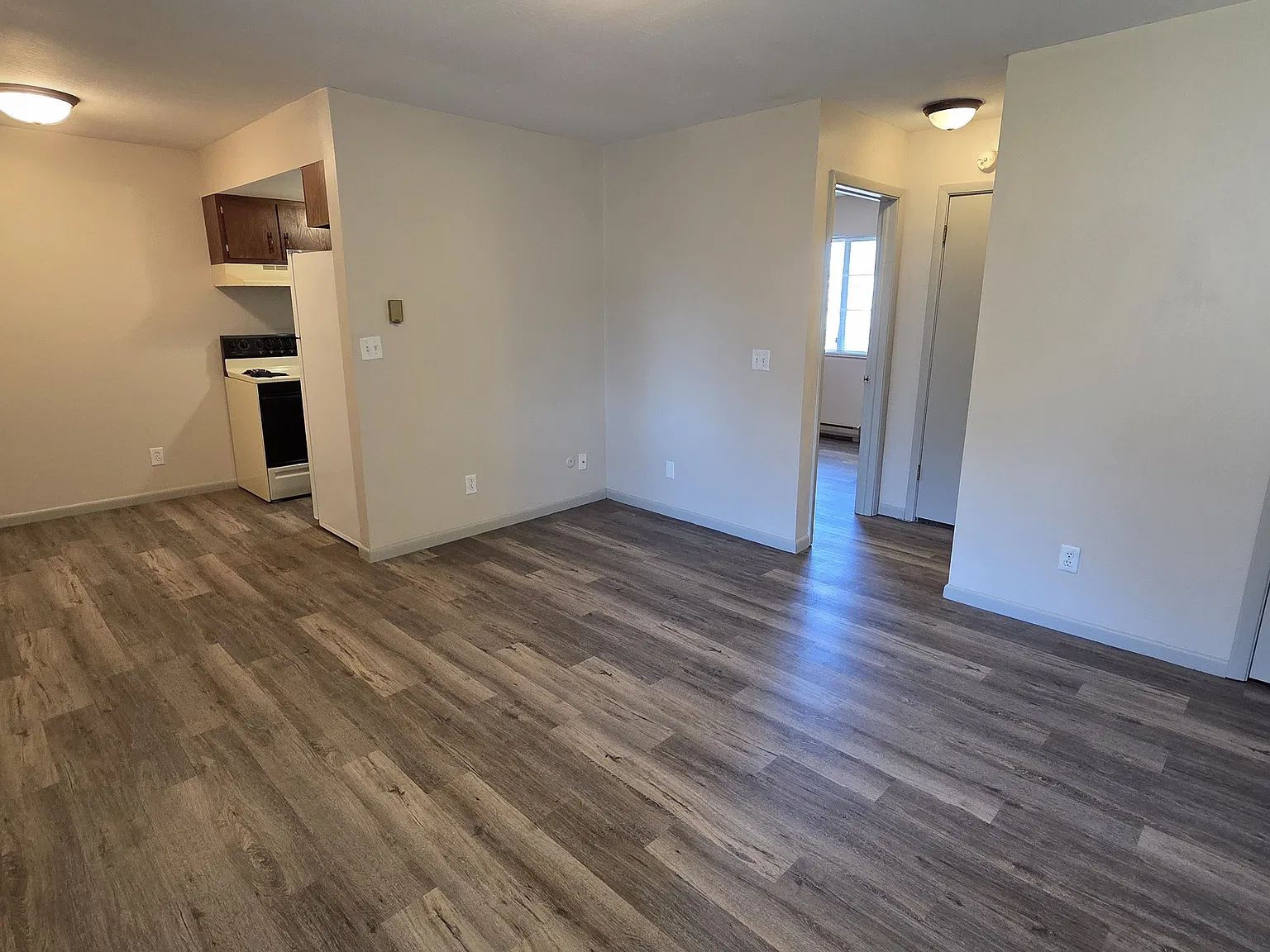 1 bed, $850 — Photo 3