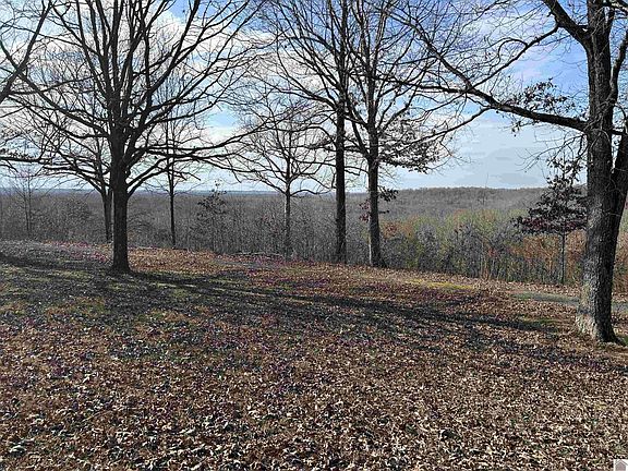 5th image of 0 Chickasaw Bluff Rd #31-32-1.34