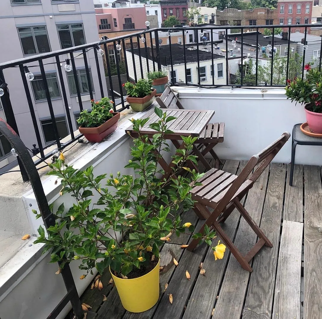 1 bed, 1.0 bath, 550 sqft, $2,700 — Photo 3