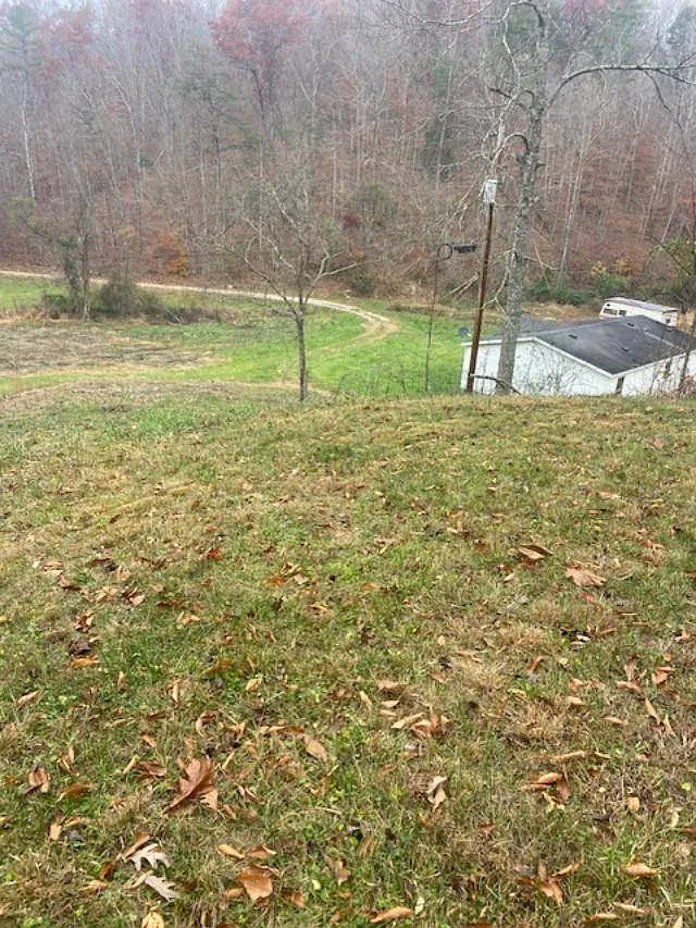 573 June Creek Rd photo 1