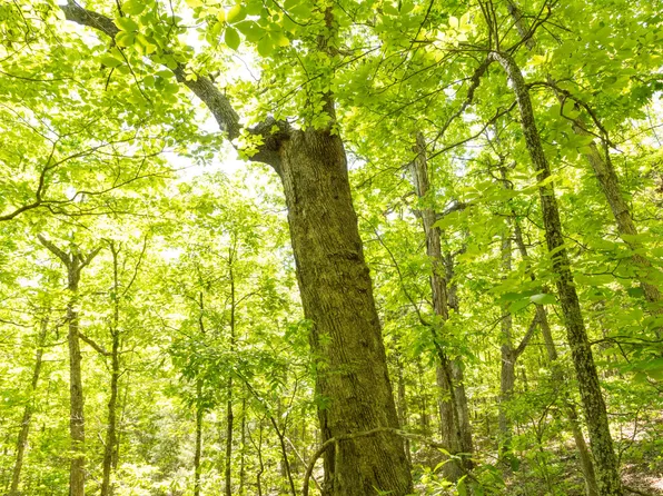 000 County Road 7630, Newburg, MO 65550