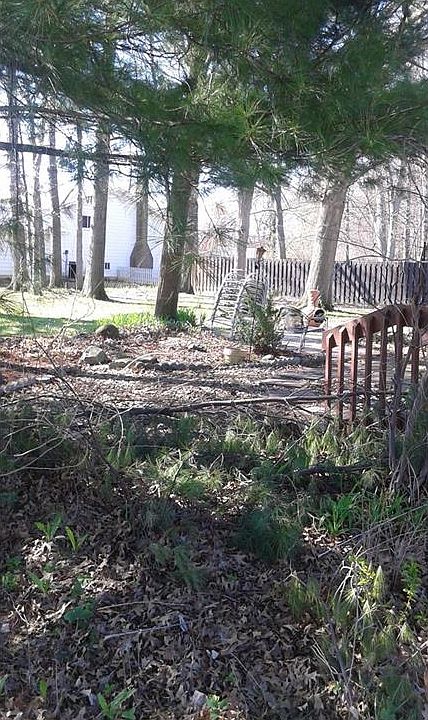 2nd image of 8684 Ashwood Dr