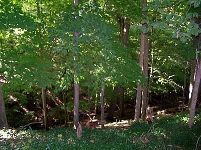 3rd image of 4559 Angela Dr