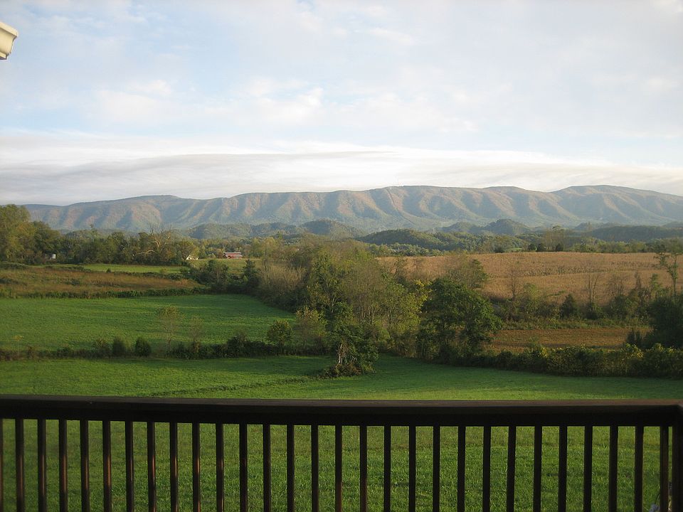Deck View