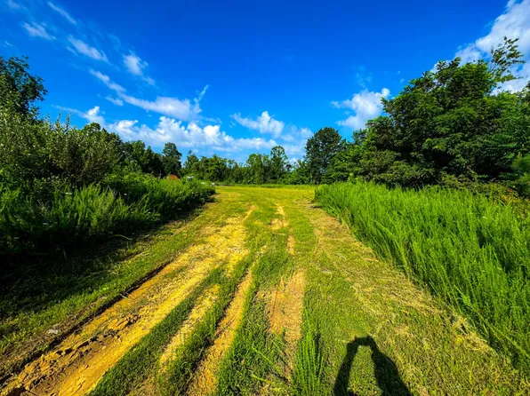 0 Ash Tree Ln, Saint Marys, WV 26170