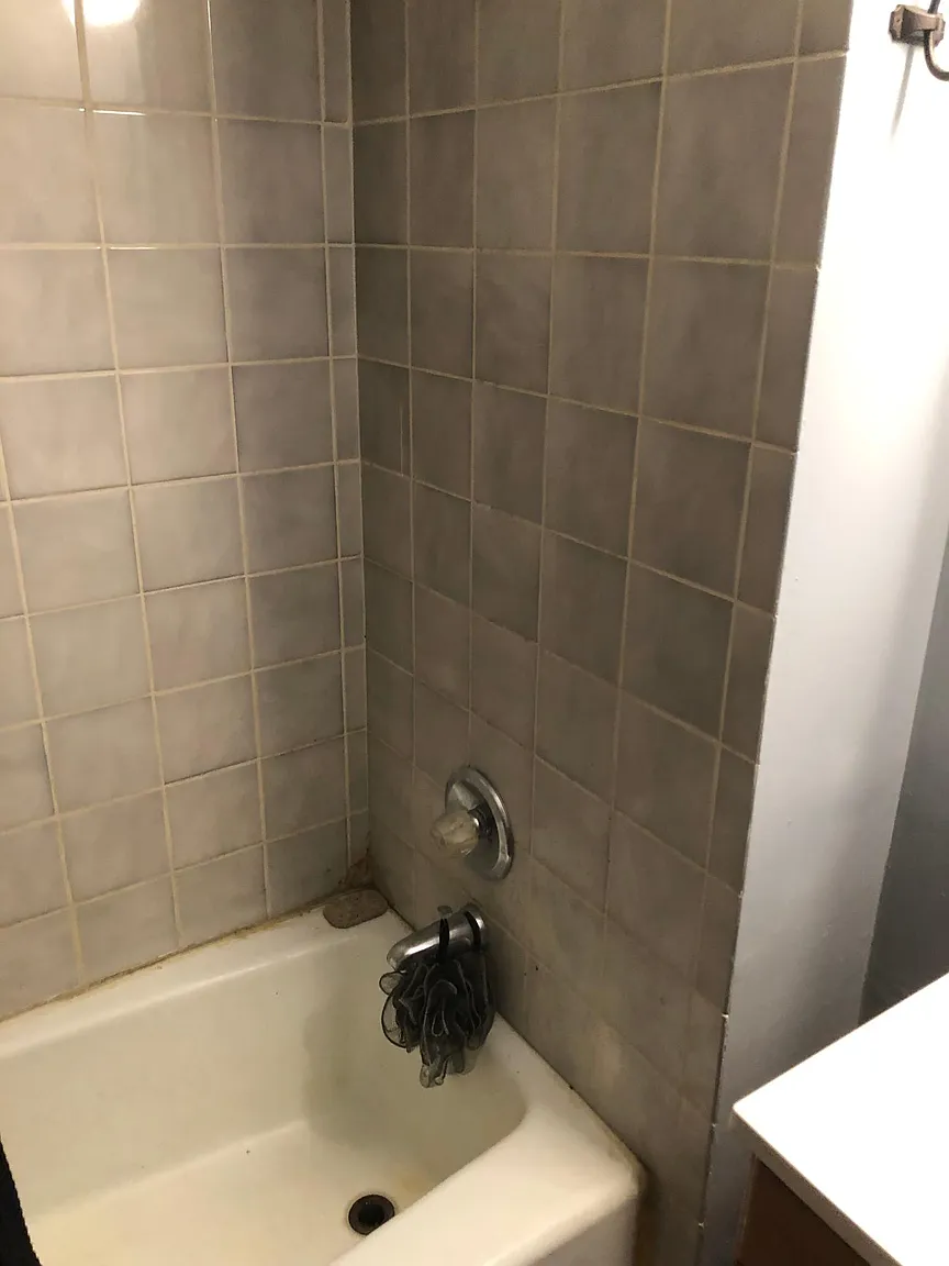 116 Reedwood Dr photo 1