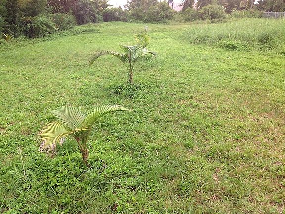 2nd image of King Kamehameha Blvd Lot 48