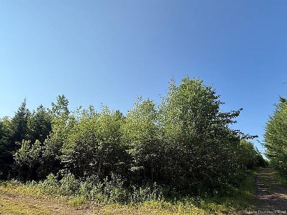 2nd image of Upper Vail Rd