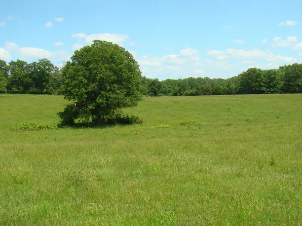 000 State Route Nn, Mountain View, MO 65548