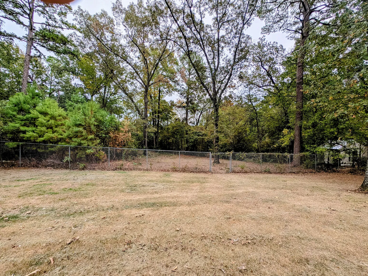 3 bed, 1589 sqft, $1,850 — Photo 4
