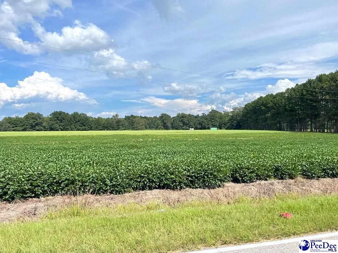 Laughlin Rd, Marion, SC 29571 Zillow