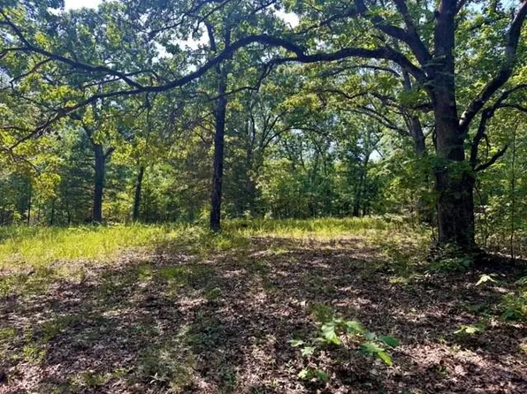 33001 Panther Way, Cole Camp, MO 65325