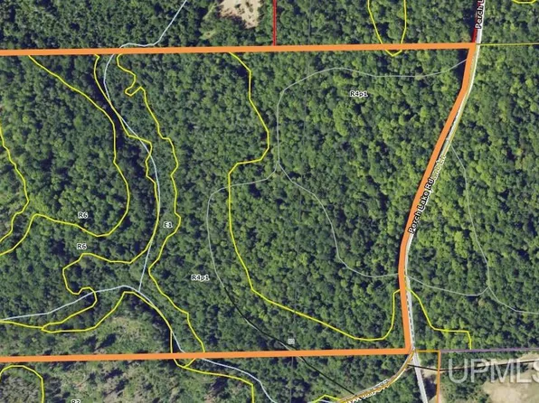 Perch Lake Rd, Au Train, MI 49806