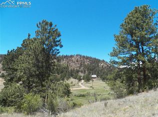 525 Spring Valley Dr, Florissant, CO 80816
