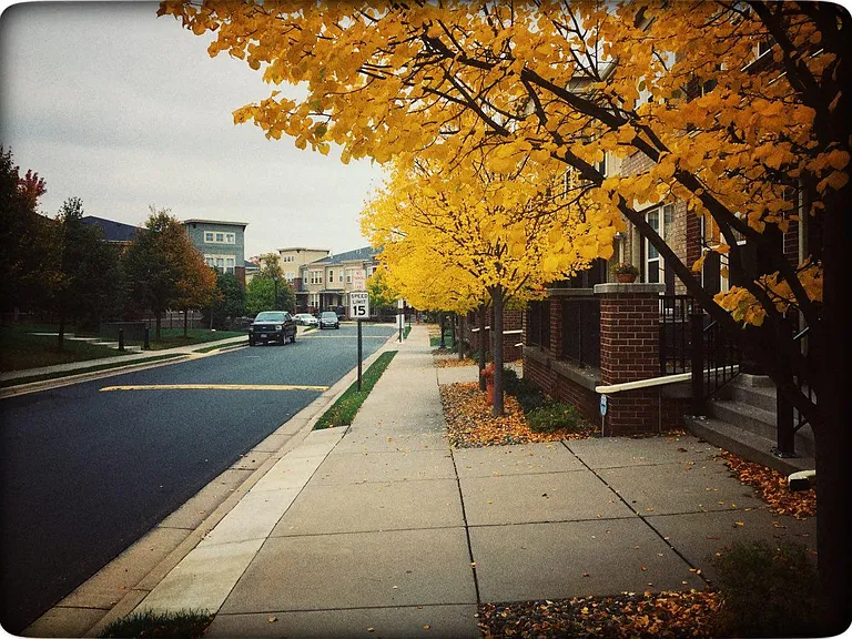 Fall at the townhome