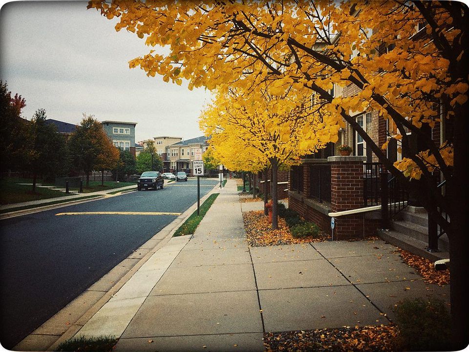 Fall at the townhome
