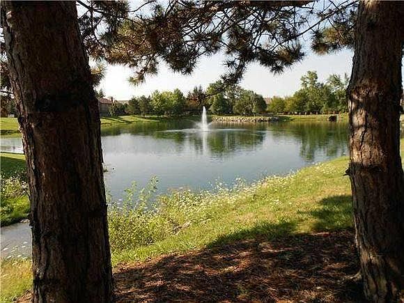 Pond View