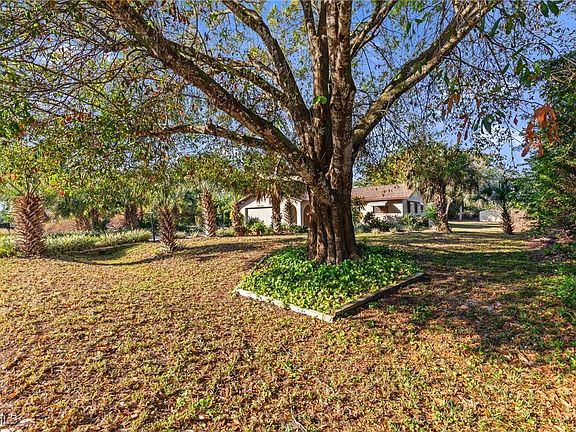 3rd image of 1115 Hibiscus Ave