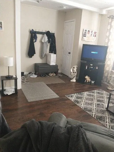 1 bed, $875 — Photo 3
