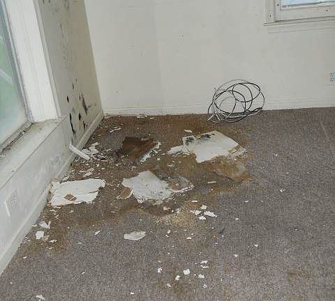 5th image of 4809 Cloverlawn Dr